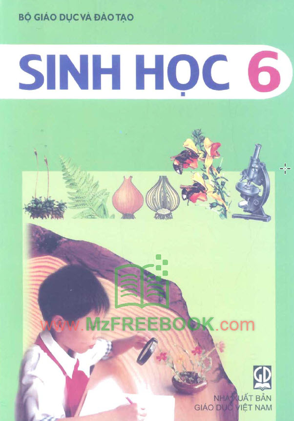 sach giao khoa sinh hoc lop 6
